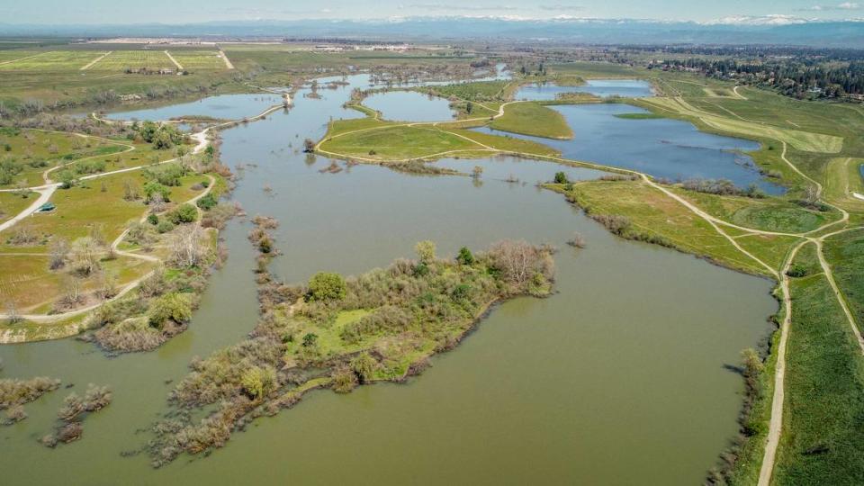 El crecido río San Joaquín se extiende hacia los estanques y canales fluviales de la zona de Sycamore Island, entre los condados de Fresno y Madera, como se ve en esta imagen de dron del miércoles 5 de abril de 2023. Las descargas de la presa de Friant han superado los 8,000 pies cúbicos por segundo durante semanas debido a las fuertes tormentas de este año.