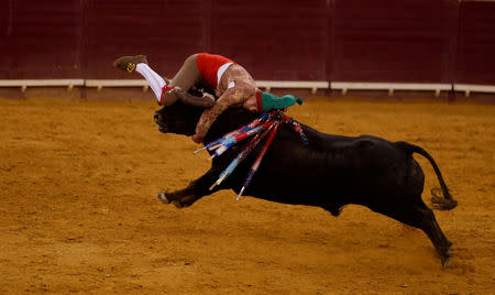 FILE PHOTO: A member of Aposento da Chamusca Forcados group performs during a bullfight at Campo Pequeno bullring in Lisbon, Portugal July 5, 2018. REUTERS/Rafael Marchante