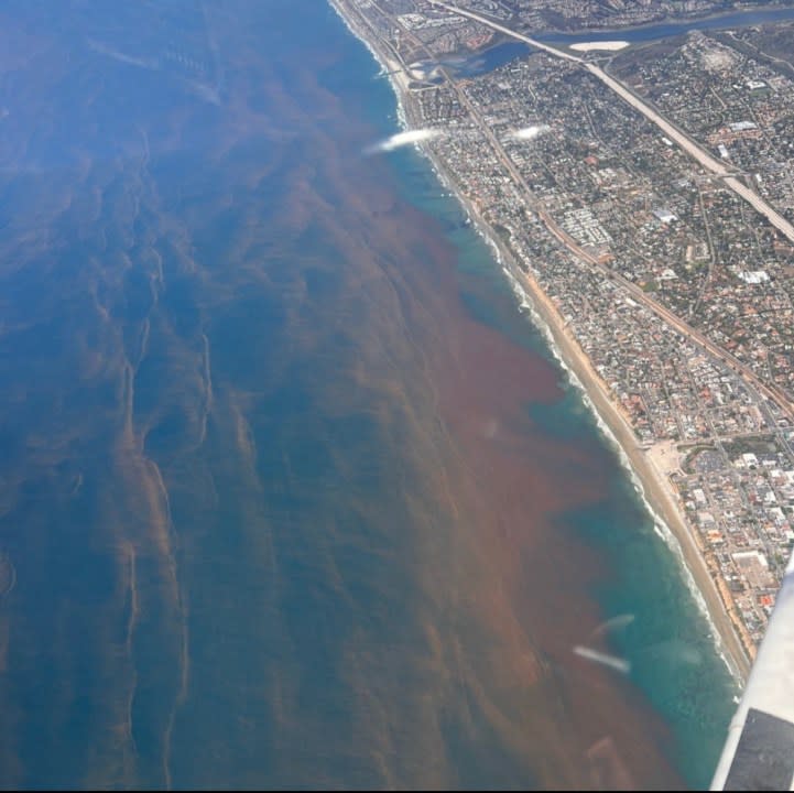 A red tide near a Del Mar