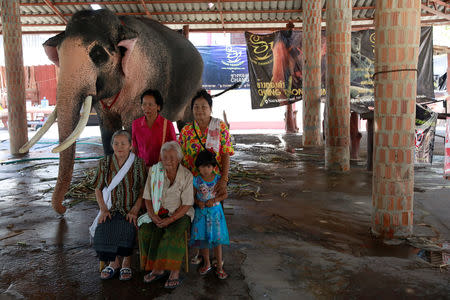 A family have a photo taken with Plai Ekachai, 33, who will become first “white” elephant to be discovered under the reign of King Rama X, also known as Maha Vajiralongkorn, in Maha Sarakham, Thailand April 25, 2019. REUTERS/Soe Zeya Tun