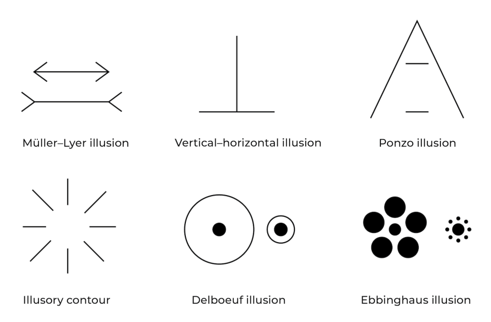 Examples of different visual illusions where the eye is tricked to perceive incorrect proportions of objects. Scarlett Howard