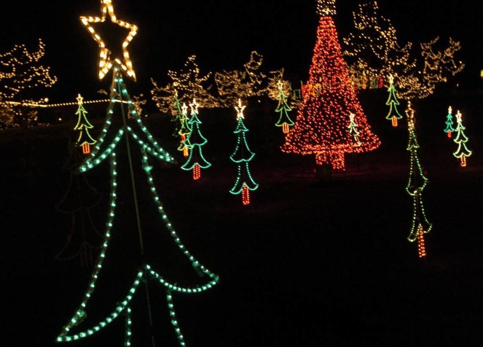 Sat Dec 15, 2007-Irmo, SC-The dancing forest lights up at Holiday lights on the River at Saluda Shoals park. 77 trees light up in sync with holiday music. Photo by Tracy Glantz/tglantz@thestate.com/ The State/