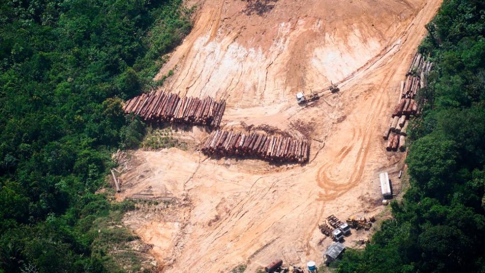 Área desforestada por tala ilegal en la Amazonia