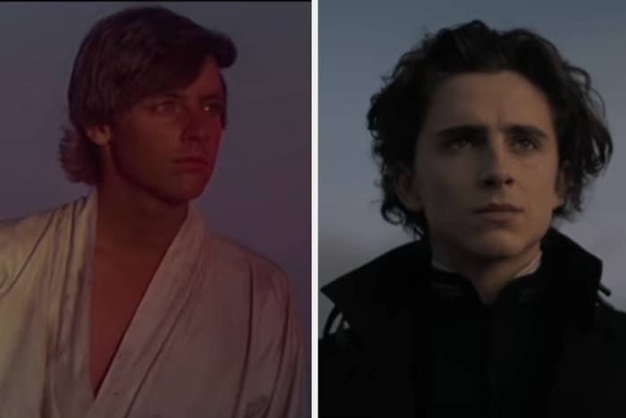 Luke in "Star Wars: Episode IV - A New Hope" and Paul in "Dune"