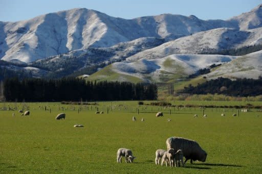 File photo shows snow capped mountains near Hanmer Springs on New Zealand's South Island. Researchers have discovered New Zealand's earthquake-prone landscape is even more unstable than previously thought, recording deep tremors lasting up to 30 minutes on its biggest fault line