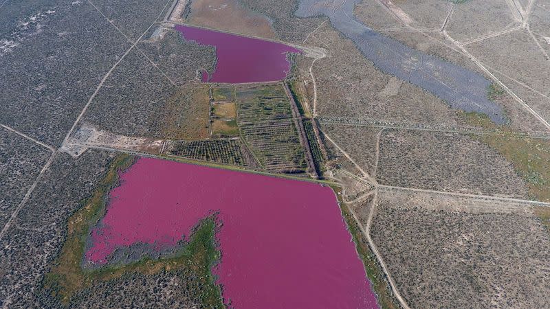 Vista de lagunas de color rosa en la provincia argentina de Chubut