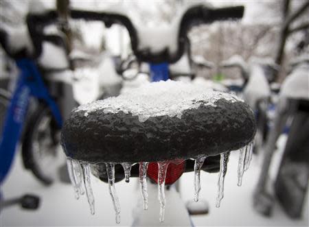 Icicles drip off a bicycle seat in Central Park in the rain in New York February 5, 2014.REUTERS/Carlo Allegri
