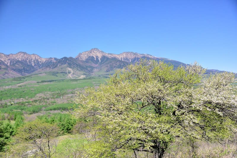 野辺山高原 平沢峠