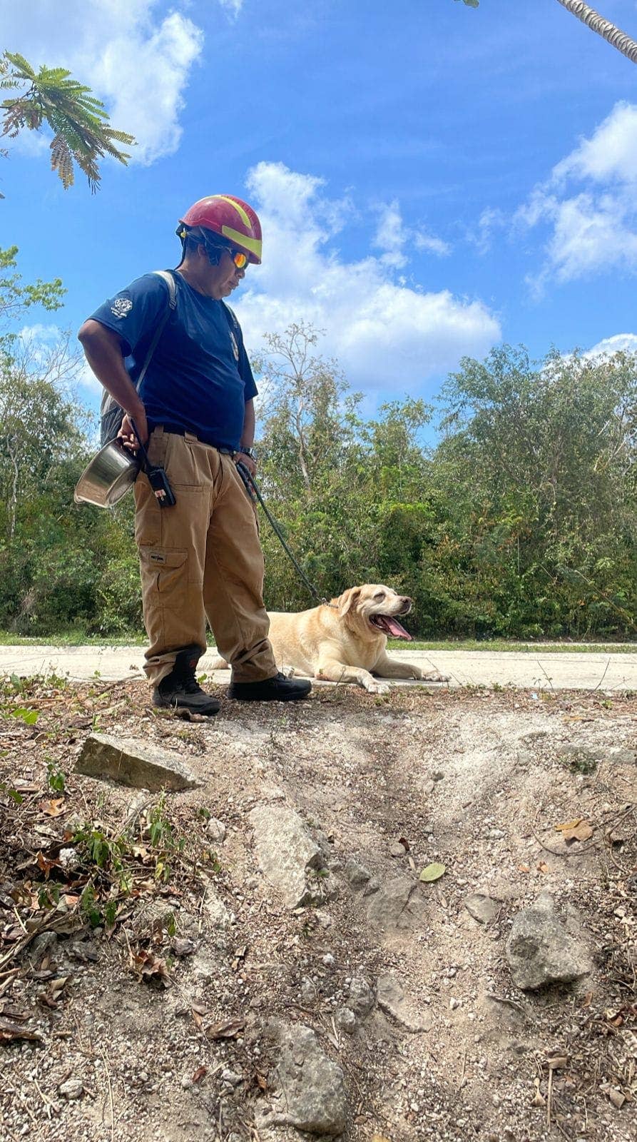 Search and rescue efforts in Cozumel include dogs trying to trace "Brad's" trail.