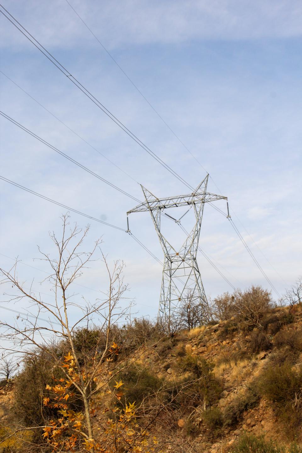 Power lines run though Coconino National Forest. APS had to replace critical infrastructure following the Backbone Fire.