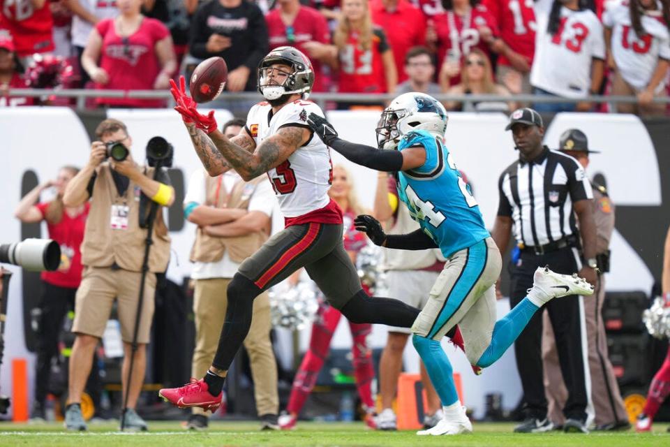 Will Mike Evans and the Tampa Bay Buccaneers beat the Carolina Panthers on Sunday? NFL Week 13 picks, predictions and odds weigh in on the game.