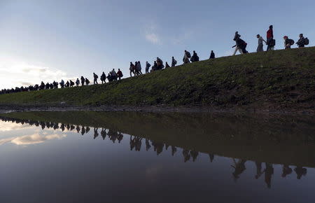Migrants make their way on foot on the outskirts of Brezice, Slovenia October 20, 2015. REUTERS/Srdjan Zivulovic