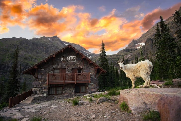 A mountain goat poses in front of Sperry Chalet in Glacier National Park.