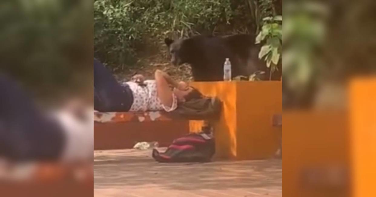 Foto: Captura de video TikTok vía @f.arredondo