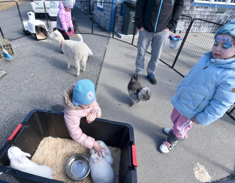 Rabbits, goats and chickens got steady attention all afternoon in the petting zoo at the Yarmouth Winter Carnival last year. Yarmouth Chamber of Commerce puts on the event in partnership with the Yarmouth Recreation Department. The year's carnival starts Saturday, Feb. 17 at Skull Island on Route 28.