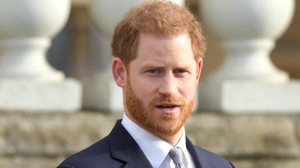 Prince Harry at a public engagement