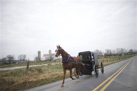 An Amish horse and buggy travels on a road in Bart Township, Pennsylvania December 1, 2013. REUTERS/Mark Makela