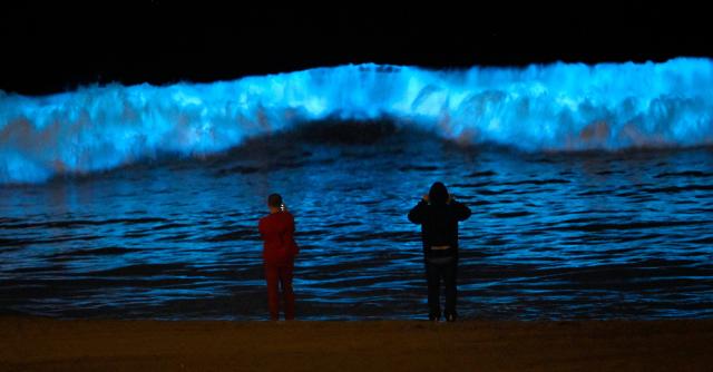 Bioluminescent waves 2022: California beach sees return of glowing