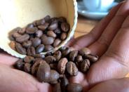 Jacques Ramarlah, a farmer and agricultural entrepreneur displays samples of Bourbon pointu coffee variety at the Kafen Drazana packaging factory in Ampefy town of Itasy region