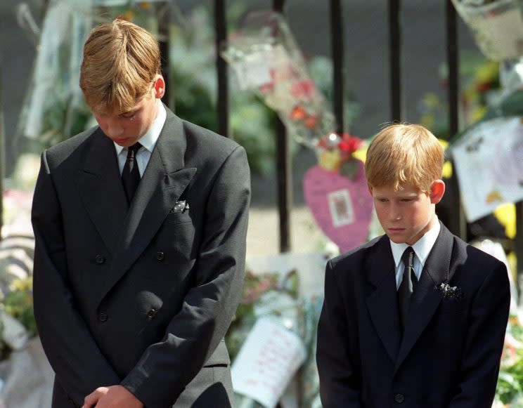 <i>Both William and Harry have spoken out about their mother’s death [Photo: PA]</i>