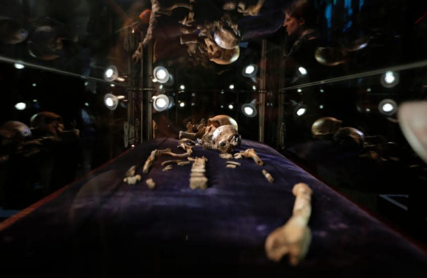 skeleton fossil findings of the Homo Naledi Hominin species