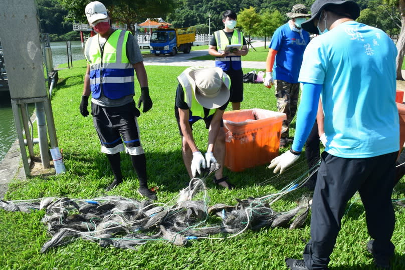 海漁基金會於大湖公園移除琵琶鼠魚。（海漁基金會提供）