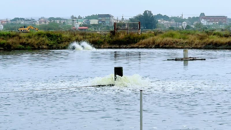 ▲高雄市政府積極整合多方資源幫助漁民獲得最大收益。（圖／記者陳美嘉攝）