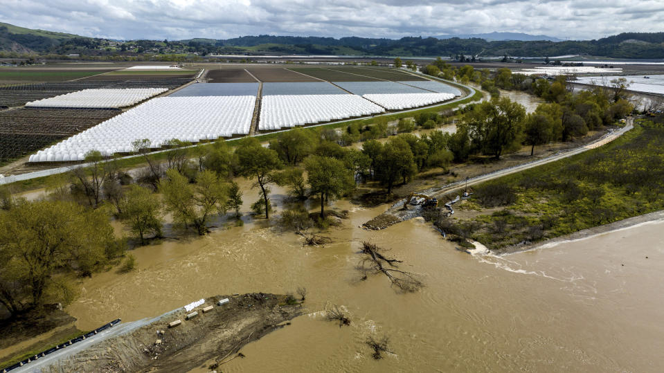 Water flows through a levee breach near the Aromas community in Monterey County, Calif., on Monday, March 13, 2023. The break caused widespread flooding in the Pajaro community nearby. (AP Photo/Noah Berger)