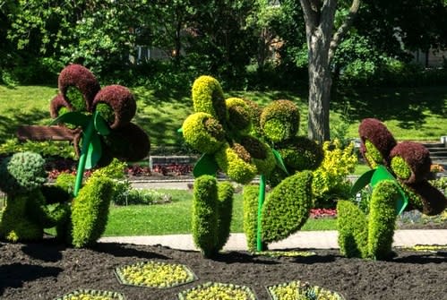 【賞花之旅】植物雕塑！蒙特婁「花」藝術超吸睛