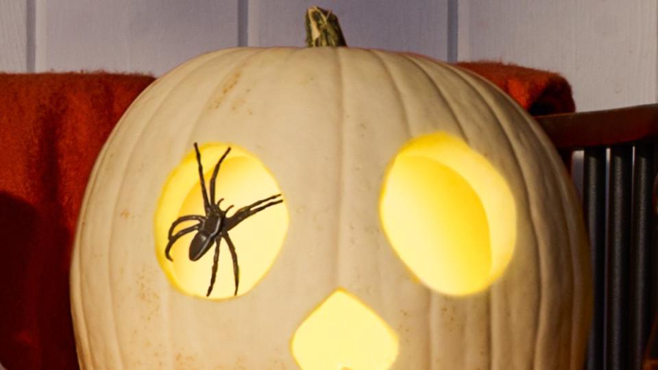 pumpkin carving ideas eye spy pumpkin with spider