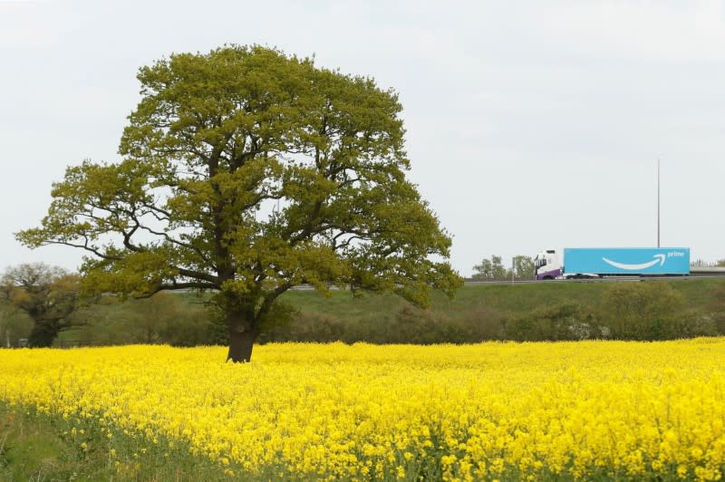 FILE PHOTO: The spread of the coronavirus disease (COVID-19) in London Colney