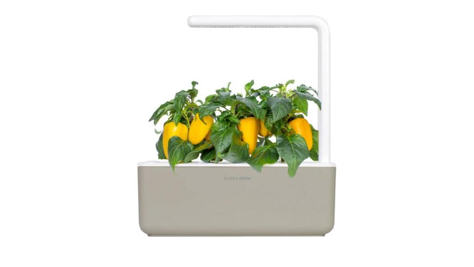 Click and Grow's indoor garden has a 4.8-star rating from Nordstrom shoppers, and it comes in three chic colors.