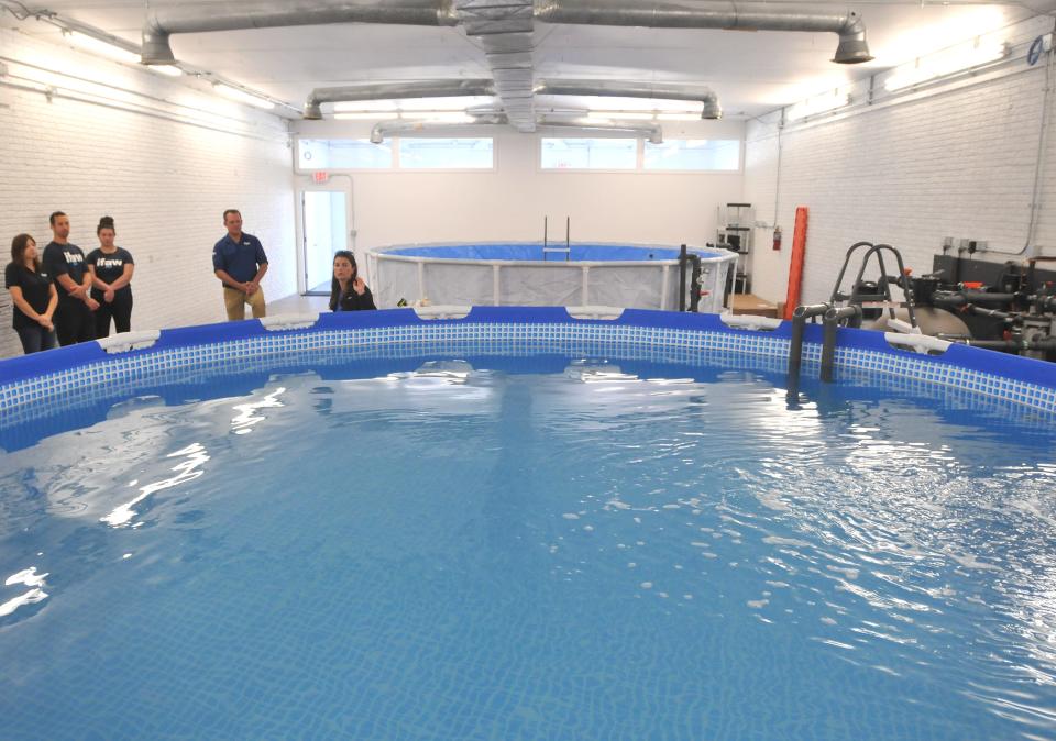 Once an auto supply shop, a building on Route 6A in Orleans has been transformed by the International Fund for Animal Welfare into a dolphin rescue center with two pools large enough to care for dolphins up to 96 hours. The center was built to improve chances of survival for dolphins that strand off Cape Cod.