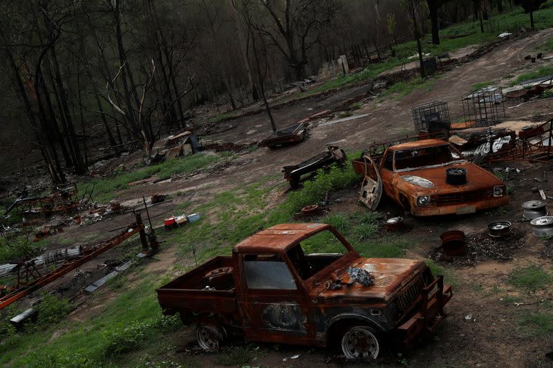 The Wider Image: At home with couple who saved baby kangaroos from the fires