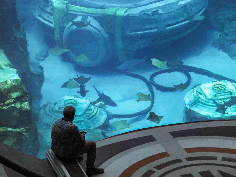 A man sits in front of a large, clear water tank filled with sharks