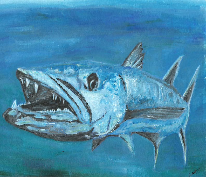 This well-sketched print of the dental armament of a full grown barracuda, "gamesters that will give you all you can handle," says Outdoors columnist Charley Soares. "And they are as fast as any inshore species. These ambush predators are not edible, at least by the standards of my Florida companions, but they will put up a battle you will not soon forget."