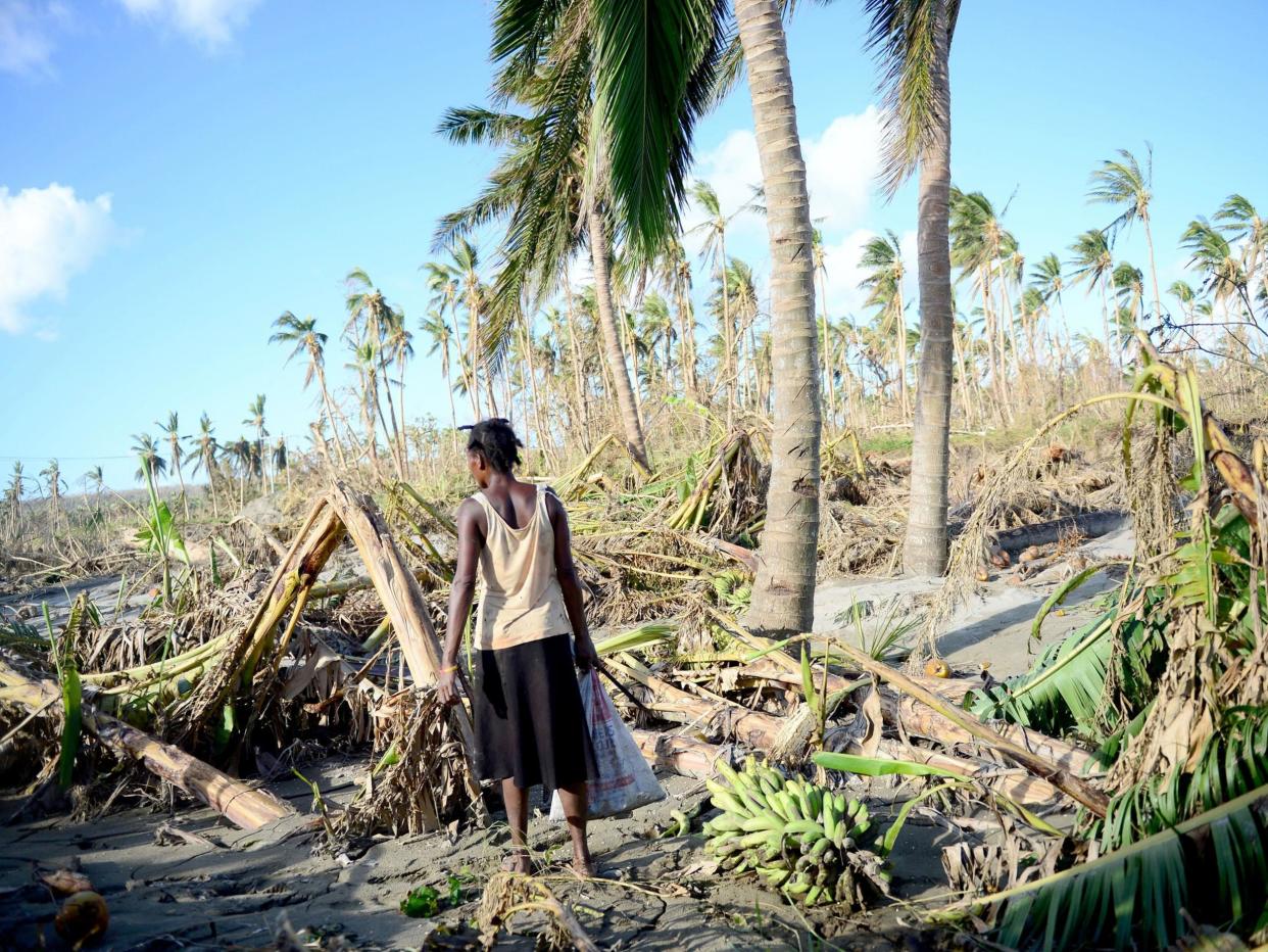 When Cyclone Pam struck Vanuatu in 2015 it wiped out much of the island nation's GDP: AFP/Getty Images