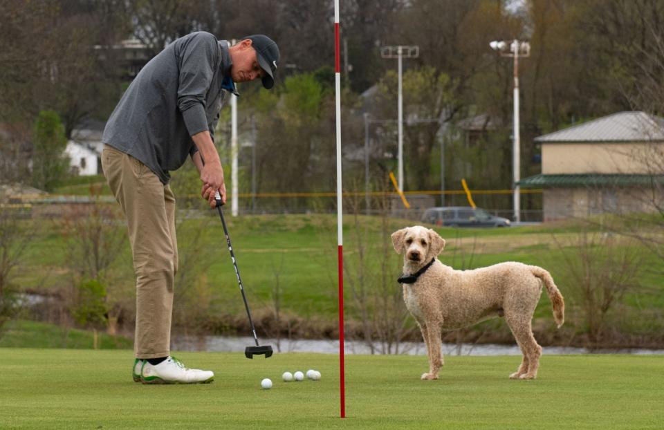 Logan Slaton of Evansville putts the ball while accompanied by Knute, a Goldendoodle, at Helfrich Hills Golf Course in Evansville, Ind., Thursday afternoon, April 6, 2023. “There’s still always something to figure out with the game,” says Slaton, who is a regular at the golf course and has been playing the game for 20 years.