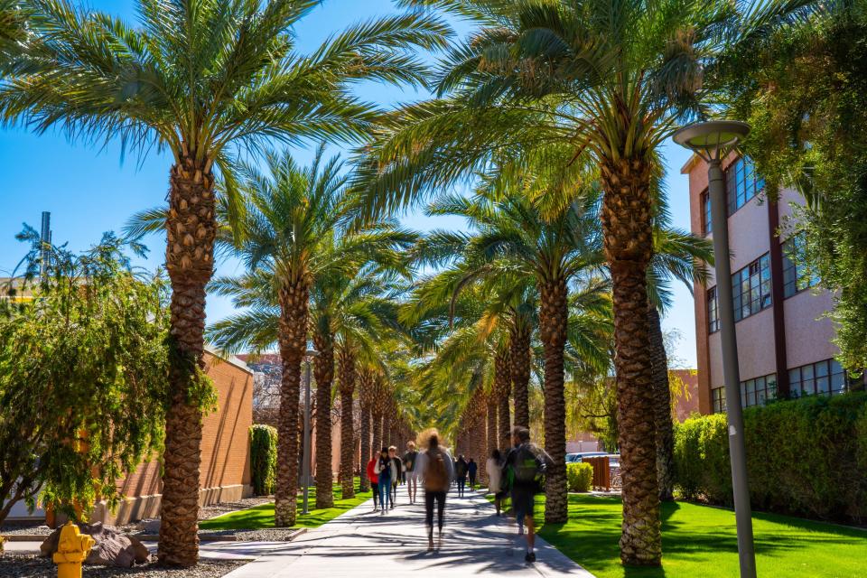 Palm Walk at Arizona State University campus in Tempe.