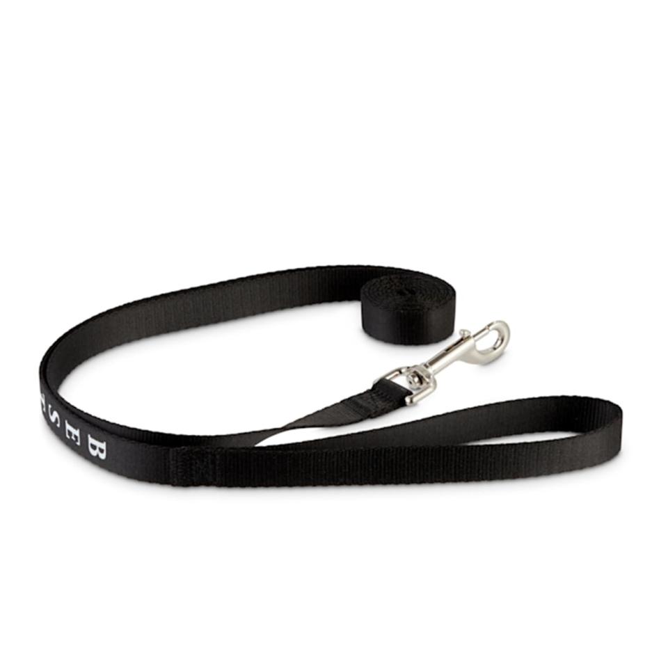 best pup dog leash