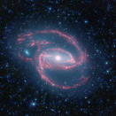 NASA's Spitzer Space Telescope has imaged a coiled galaxy with an eye-like object at its center, shown in this photograph released by NASA July 23, 2009. The galaxy, called NGC 1097, is located 50 million light-years away. It is spiral-shaped like our Milky Way, with long, spindly arms of stars. The "eye" at the center of the galaxy is actually a monstrous black hole surrounded by a ring of stars. In this color-coded infrared view from Spitzer, the area around the invisible black hole is blue and the ring of stars, white. REUTERS/NASA