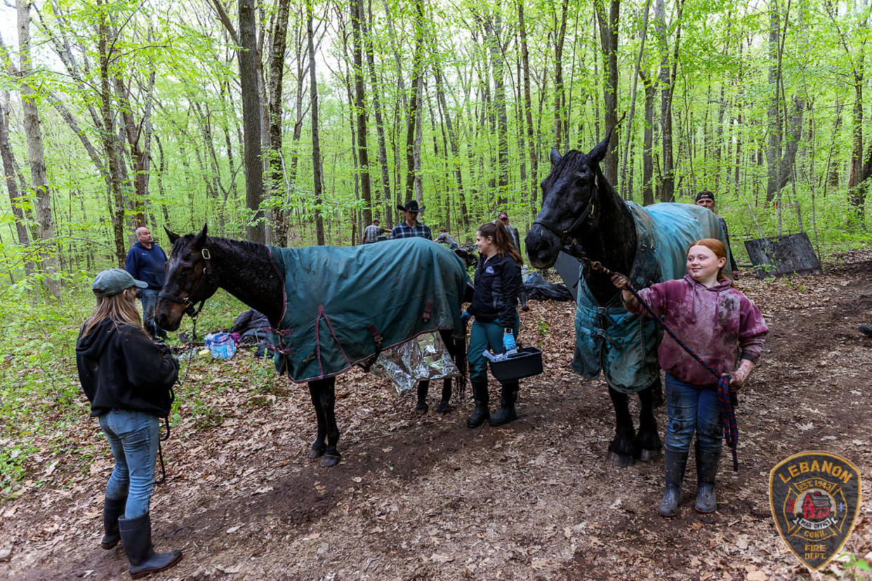 Firefighters rescue two horses stuck in mud in Lebanon, Conn.  (Lebanon Volunteer Fire Dept. )