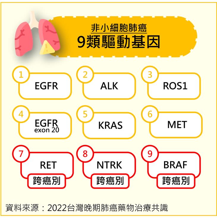 非小細胞肺癌的常見9種驅動基因。（圖片提供／台灣免疫暨腫瘤學會）