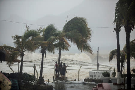 People stand next to swaying palm trees following the passing of Tropical Storm Lidia in Los Cabos, Mexico, August 31, 2017. REUTERS/Fernando Castillo