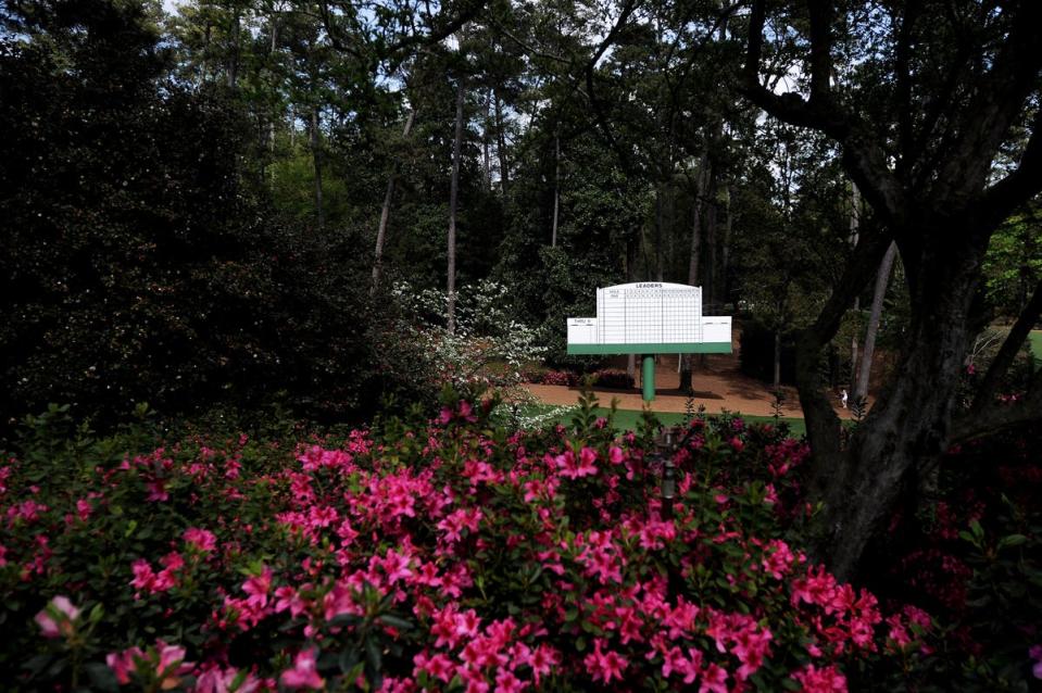 augusta scoreboard