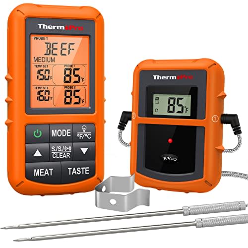 ThermoPro TP20 Wireless Thermometer with Dual Probe (Amazon / Amazon)