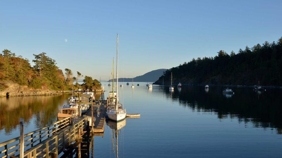 Boats tied up at dock in Fossil Bay, Sucia Island, San Juan Islands, Washington State