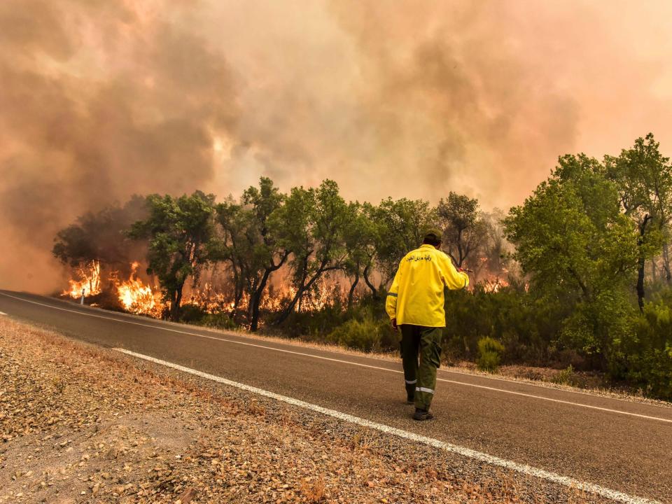 firefighter walks along road beside wildfire engulfing trees