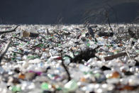 A grey heron stands between dumped plastic bottles and barrels on the bank of the Potpecko Lake on the Lim river, near city of Priboj, Serbia, Tuesday, Jan. 5, 2021. Plastic bottles and other garbage are among tons of garbage clogging rivers in Serbia, Montenegro and Bosnia that were once famous for their emerald color and crystal clear waters. (AP Photo/Dragan Karadarevic)