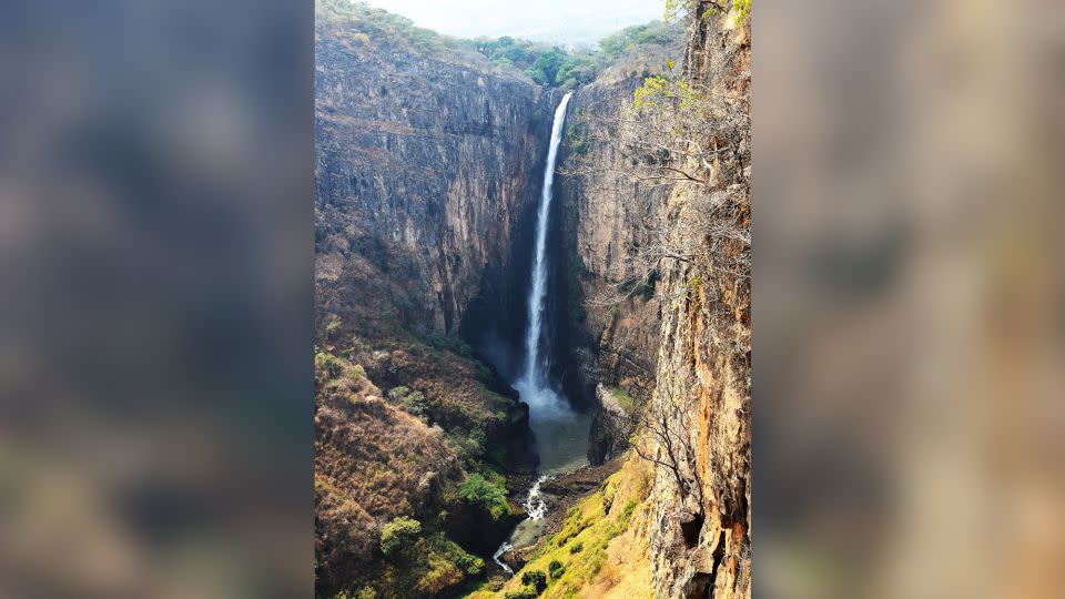 The wooden structure was found at an archaeological site upstream of Kalambo Falls in Zambia. - Professor Geoff Duller/Aberystwyth University